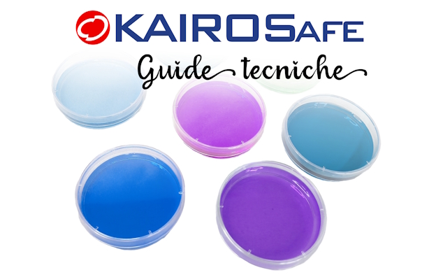 Guide tecniche